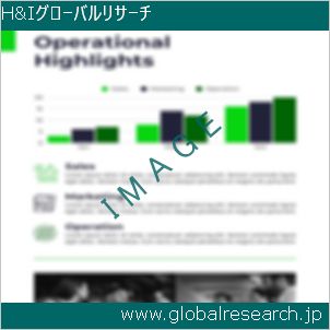 グローバルリサーチ調査レポートのイメージ